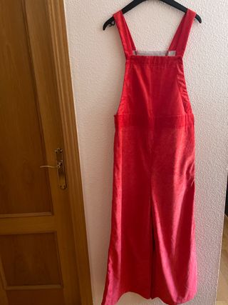 Mono rojo pana - pierna ancha