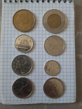 Monete canadesi