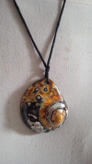 Collana conchiglia Abalone