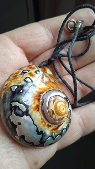 Collana conchiglia Abalone
