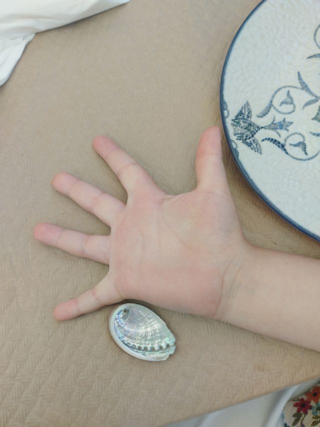 Concha abulon: iridiscente