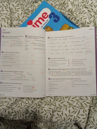 J aime 3 Cahier d'activités Anaya