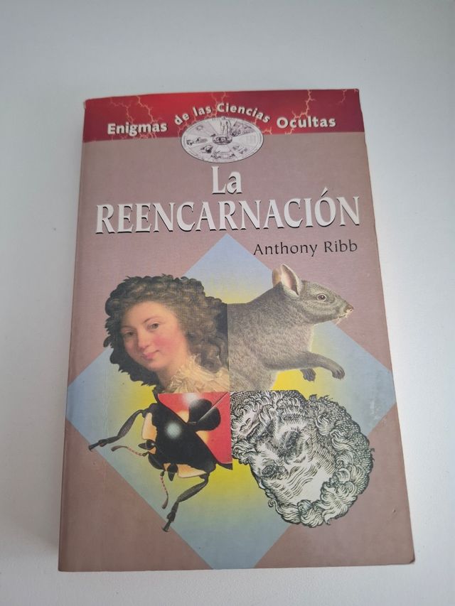 LA Reencarnacion/Reincarnation (Spanish Edition)