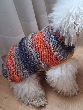 Cappottino handmade cani