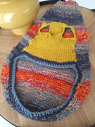 Cappottino handmade cani