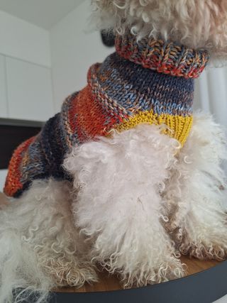 Cappottino handmade cani