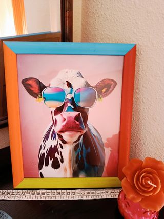 Vaca multicolor