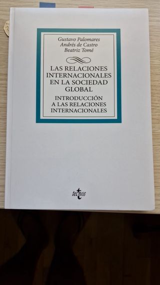 Las relaciones internacionales en la sociedad g...