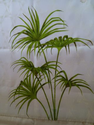 Set 2 Teli bianchi con palme verdi per tende corte