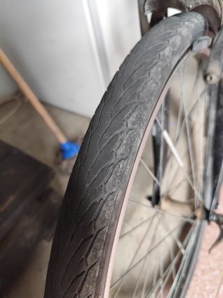 Bicicleta Megamo