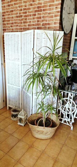 Biombo madera pintado a la tiza a mano 

