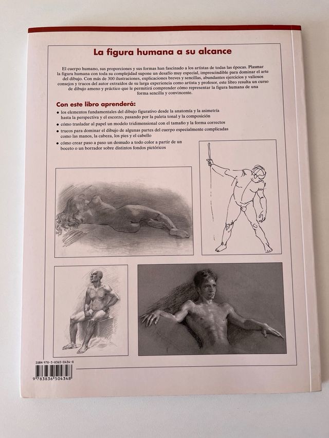 FIGURA HUMANA A SU ALCANCE, LA