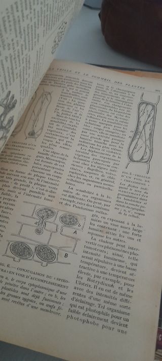 10riviste francesi del 1925 La science et la Vie 