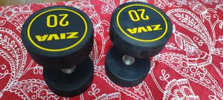 Mancuernas 20kg ZIVA