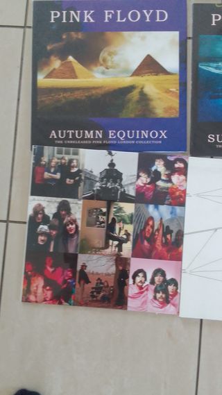 6Vinili Pink Floyd: Lotto