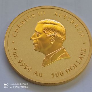 Onza Oro 2025 - Moneda Columnario.