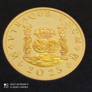 Onza Oro 2025 - Moneda Columnario.