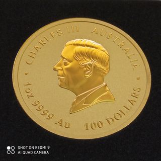Onza Oro 2025 - Moneda Columnario.
