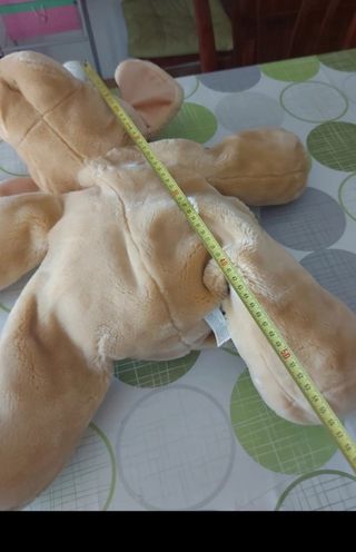 Peluche Cane Gigante
