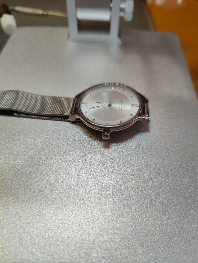 Reloj Skagen mujer SKW2149 plata-blanco