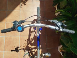 Bicicleta montaña