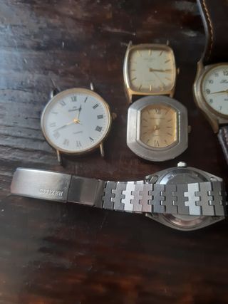 5 relojes: Citizen, Orient, Halcón, Silvana, Polo.