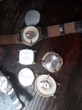 5 relojes: Citizen, Orient, Halcón, Silvana, Polo.