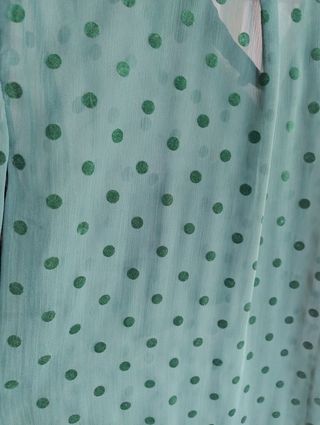 Camisa estrenar transparecias