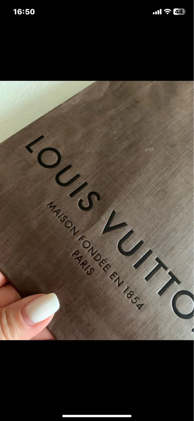 Sacchetto Louis Vuitton Marrone