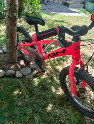 Bh expert 16 " rosa