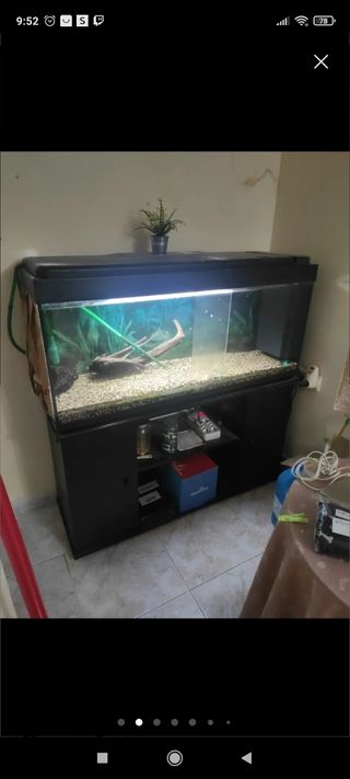 Acuario