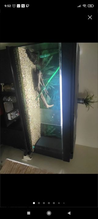 Acuario