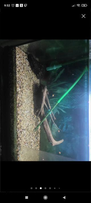 Acuario