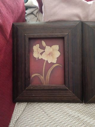 2 Cuadros Flores - Decoración