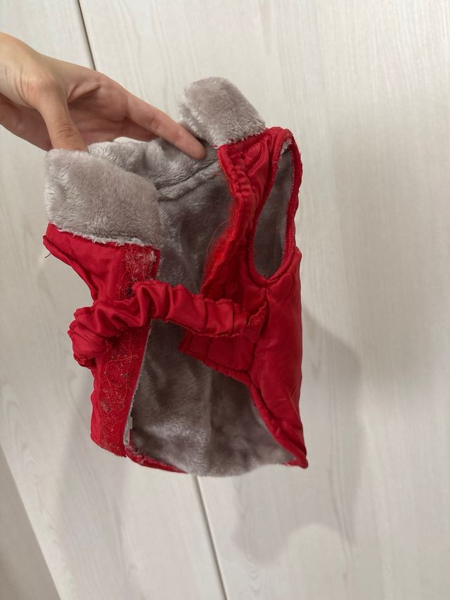 Abrigo rojo perro pequeño