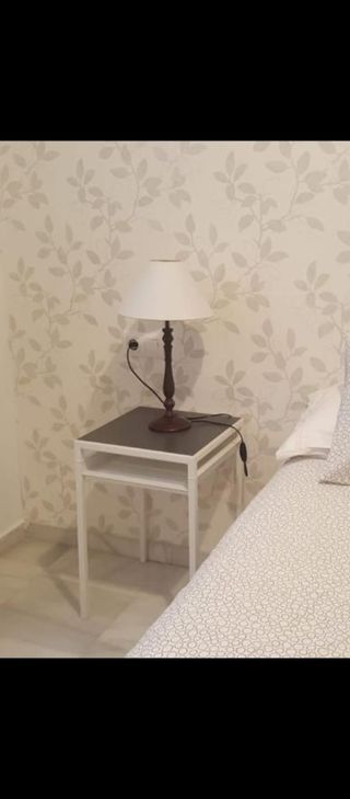 Manitas Pintor Albañil