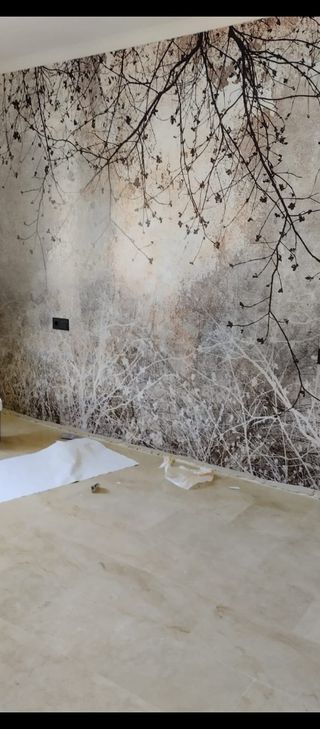 Manitas Pintor Albañil