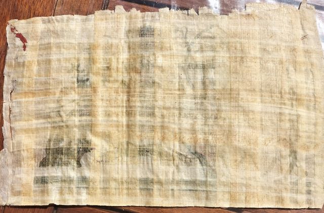 Scena di caccia al papiro dipinta a mano di Tutankhamon