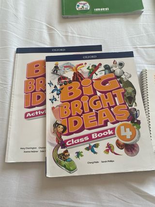 Lote libros academia Cedes 4 primaria