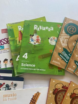 Lote libros academia Cedes 4 primaria