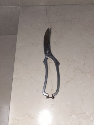 Forbici da cucina in metallo