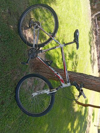Bicicleta montaña Spikes