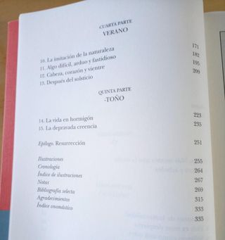 BAJO LA SOMBRA DEL VESUBIO VIDA DE PLINIO
