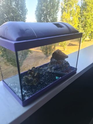 Pecera pequeña 20L - Acuario