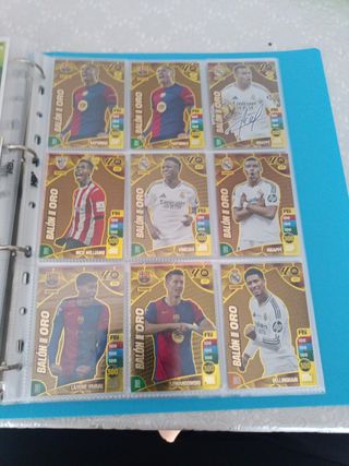 Cromos Adrenalyn XL 24-25