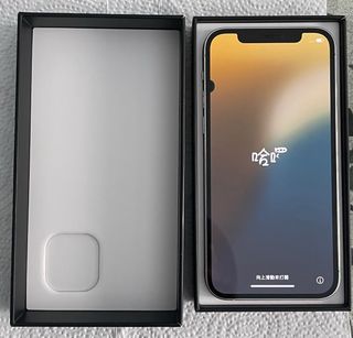 iPhone 12 Pro 128GB Silver Usato