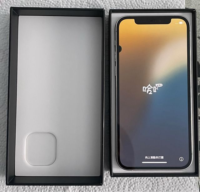 iPhone 12 Pro 128GB Silver Usato