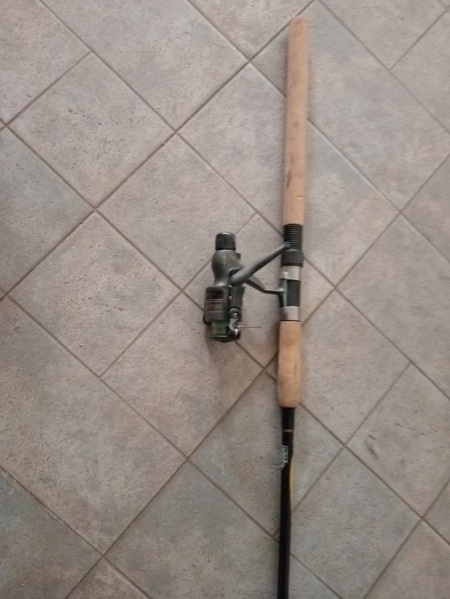 Caña de pescar con carrete