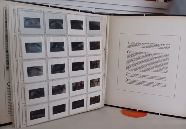 Las mejores diapositivas de los viajes de Cousteau