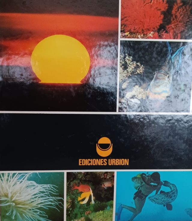 Las mejores diapositivas de los viajes de Cousteau